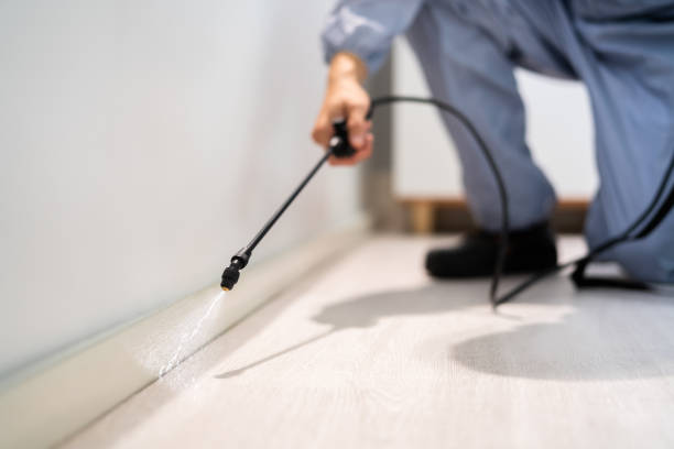Professional exterminator conducting IPM assessment in Timberville